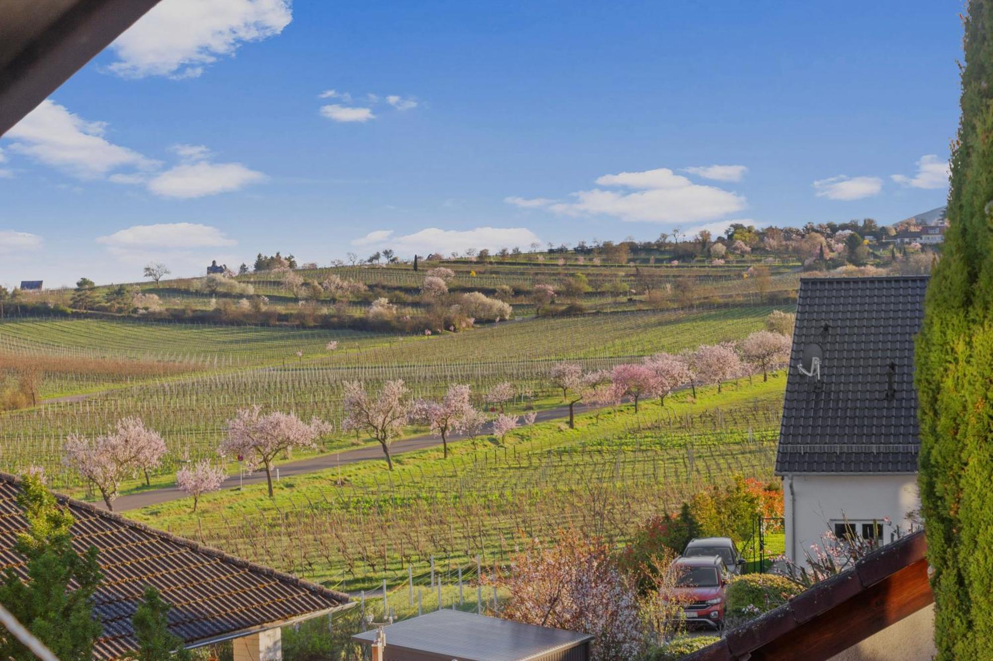 Upper Room: Apartment Mit Exklusiver Ausstattung-Ausblick Auf Weinberge&Mandelbluetenpfad Neustadt an der Weinstrasse Exterior photo